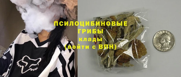 ECSTASY Кодинск