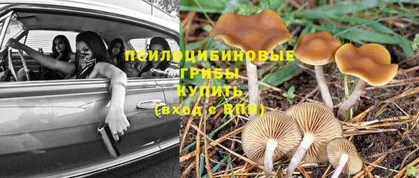 кокс Арсеньев