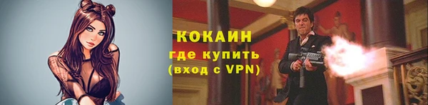 кокс Арсеньев