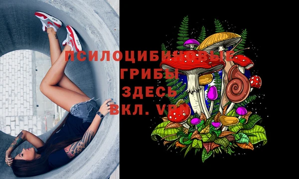 хмурый Зерноград