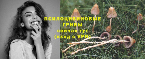 твердый Козловка