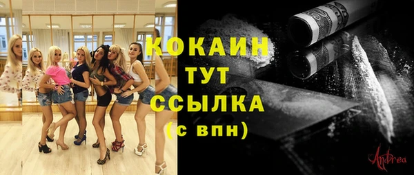 кокс Арсеньев