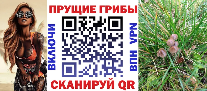 Галлюциногенные грибы мухоморы  купить   Нея 